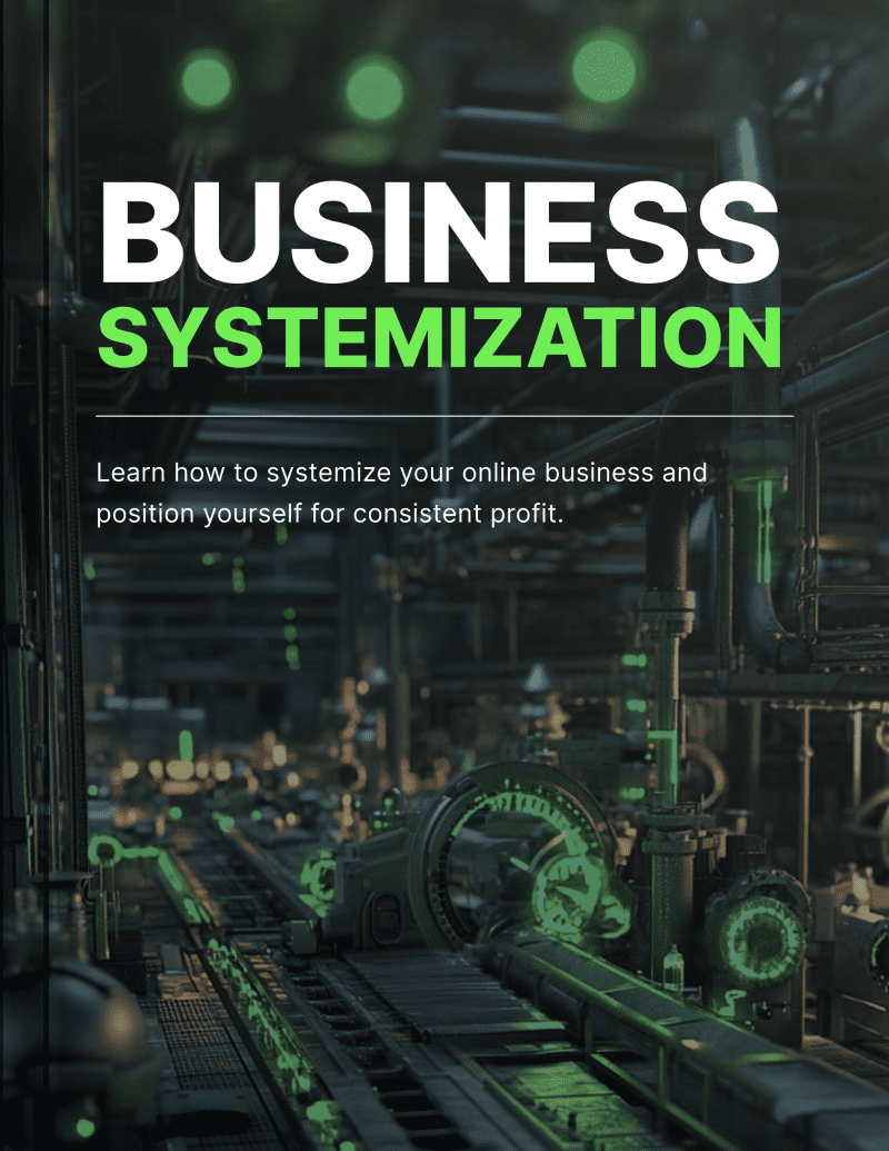 Business Systemization